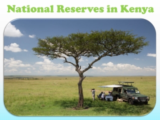 National Reserves in Kenya