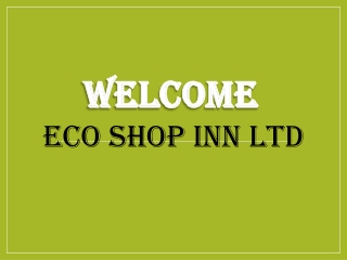 Best Electric scooters in Bridegton