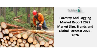 Forestry And Logging Market Insights & Forecasts 2022-2031