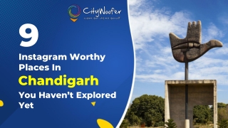 9 Instagram Worthy Places in Chandigarh