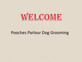 Find The Best Full Groom Services in Braintree.