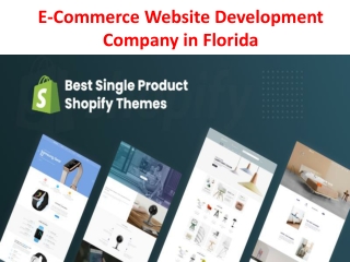 E-Commerce Website Development Company in Florida