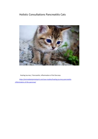 Holistic Consultations Pancreatitis Cats