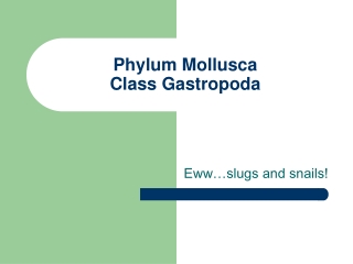 Phylum Mollusca Class Gastropoda