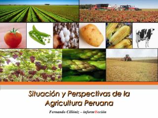 Situación y Perspectivas de la Agricultura Peruana