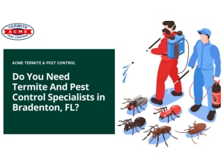 Do You Need Termite And Pest Control Specialists in Bradenton, FL
