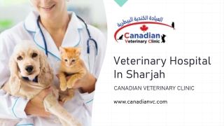 Veterinary Hospital In Sharjah _