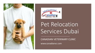 Pet Relocation Services Dubai_