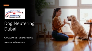 Dog Neutering Dubai_