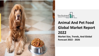 Animal And Pet Food Market Report 2022-2031 | Industry Growth, Size, Share