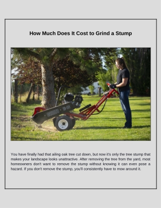 How Much Does It Cost To Remove A Tree Stump