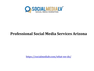 Professional Social Media Services Arizona