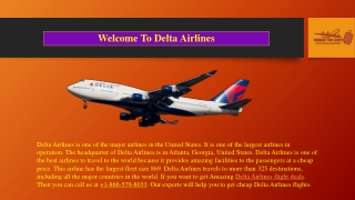 Delta Airlines Flight Deals & Tickets  1-866-579-8033