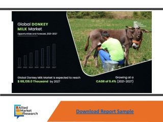 Donkey Milk Market