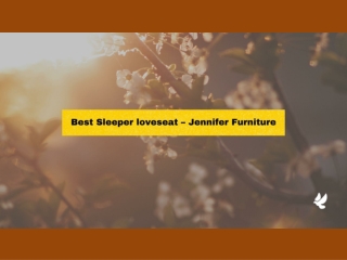 Best Sleeper loveseat – Jennifer Furniture