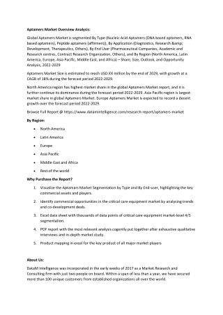 Aptamers Market Size Analysis 2022