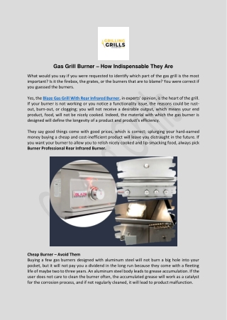 Burner Professional Rear Infrared Burner- Grilling Grills