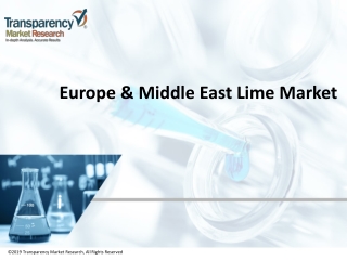 Europe & Middle East Lime Market