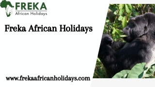 Bwindi Gorilla Trekking