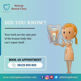 Know your teeth | Best Dental Clinic in Bellandur | Nelivigi Dental Clinic