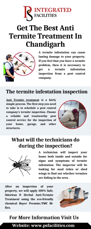 Get The Best Anti Termite Treatment In Chandigarh