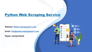 Python Web Scraping Service