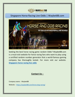 Singapore Horse Racing Live Odds | Waybet88.com