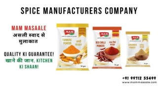 Best Spices Manufacturers in Delhi