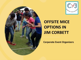 Offsite Mice Options In Jim Corbett