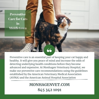 Preventive Care for Cats in Middletown