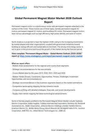2021 Permanent Magnet Motor Industry Global Analysis Report