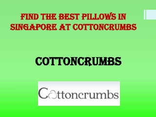 Best Pillows In Singapore