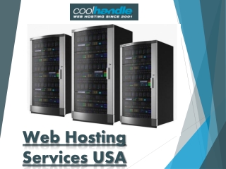 Web Hosting Services USA