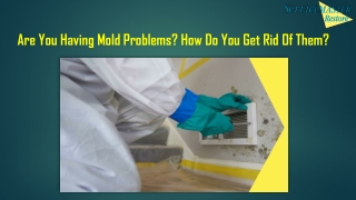 Are You Having Mold Problems How Do You Get Rid Of Them