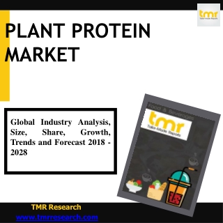 Plant Protein -Helps In Reducing The Intake Of Saturated Fats