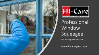 Professional Window Squeegee_