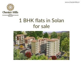 1 BHK flats in Solan for sale