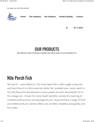 Nile Perch Fish
