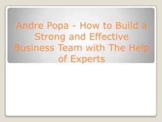 Andre Popa  How to Build a Strong and Effective Business Team with The Help of Experts