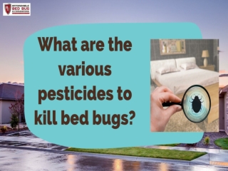 What are the various pesticides to kill bed bugs?