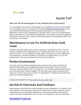 What Are All The Advantages Of The Artificial Grass Gold Coast
