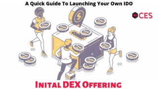 A Quick Guide to Launching Your Own IDO
