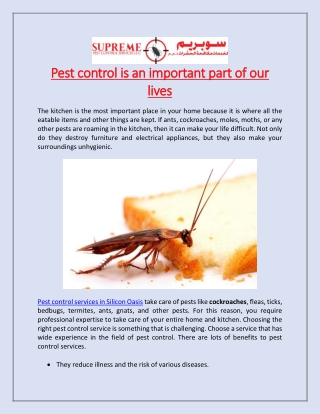 Pest control is an important part of our lives