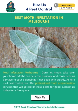 Best Moth Infestation In Melbourne