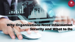 Why Organizations Need Information Security and What to Do