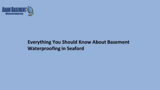 Everything You Should Know About Basement Waterproofing in Seaford
