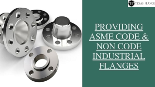 ASME CODE & NON CODE INDUSTRIAL FLANGES