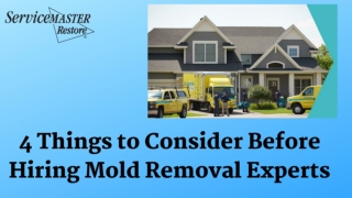 You Should Hire a Mold Remediation in Pompano Beach at ServiceMaster Remediation Services