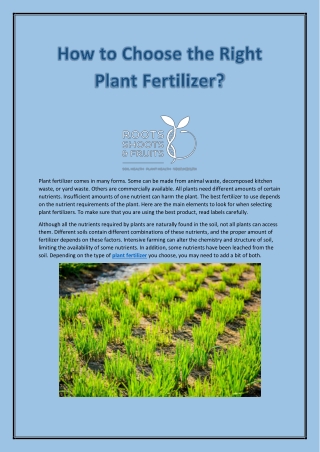Choosing the Best Quality Plant Fertilizer | Roots, Shoots & Fruits