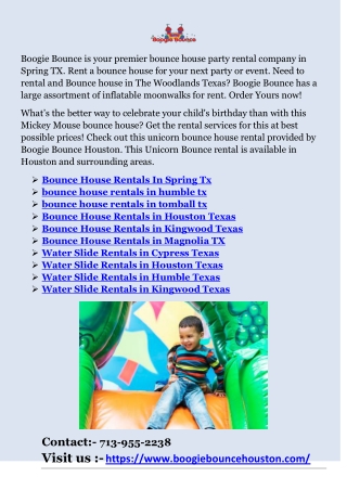 Bounce House Rentals in Houston Texas